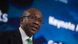 CBN sets new rules, approves 10 digital banks to operate as microfinance bank in Nigeria