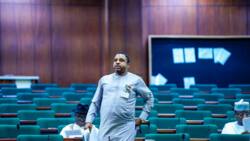 House of Reps call for probe into alleged extra-judicial killings in Imo