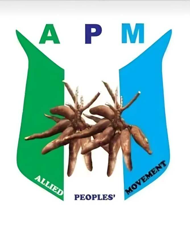 APM's logo
