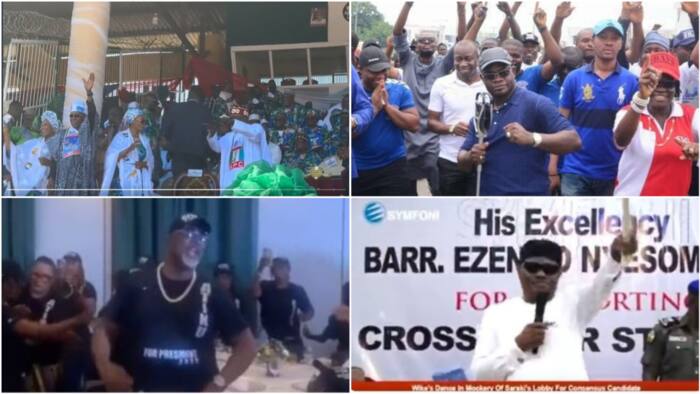 2023 Presidency: Politicians who have cracked up Nigerians with their dancing steps