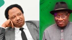 Jonathan's birthday: '4 things ex-president did that may not be repeated', Shehu Sani shares