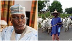 Herdsmen/farmers' crisis: Atiku addresses anti-open grazing bill, speaks on way forward