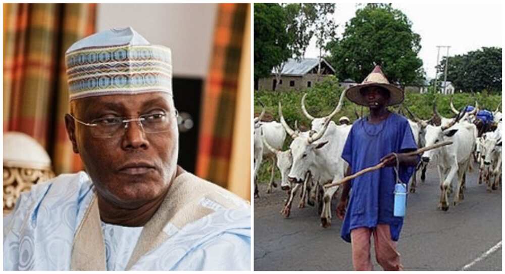 Atiku Abubakar, herdsmen, farmers in Nigeria, anti-open grazing laws, herders-farmers' clash