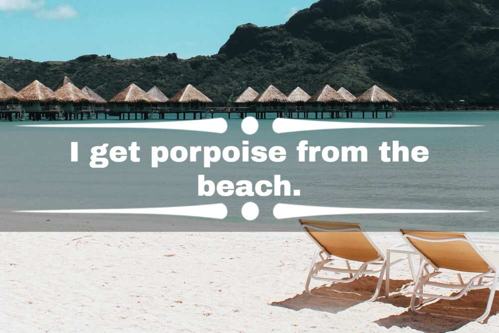 beach puns for couples beach puns for couples