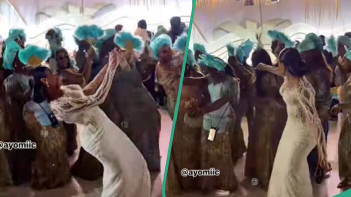 "Hot steppers": Bride and asoebi ladies display classy attire, exciting dance moves, wow netizens