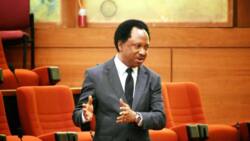 Nobody believes Kaduna-Abuja road is safe - Shehu Sani