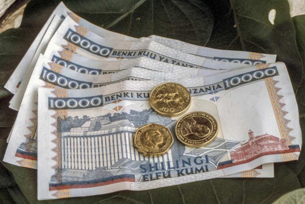 Tanzania to Copy Central Bank of Nigeria Model on eNaira as it Plans its Own Digital Currency Tanzania to Copy Central Bank of Nigeria Model on eNaira as it Plans its Own Digital Currency