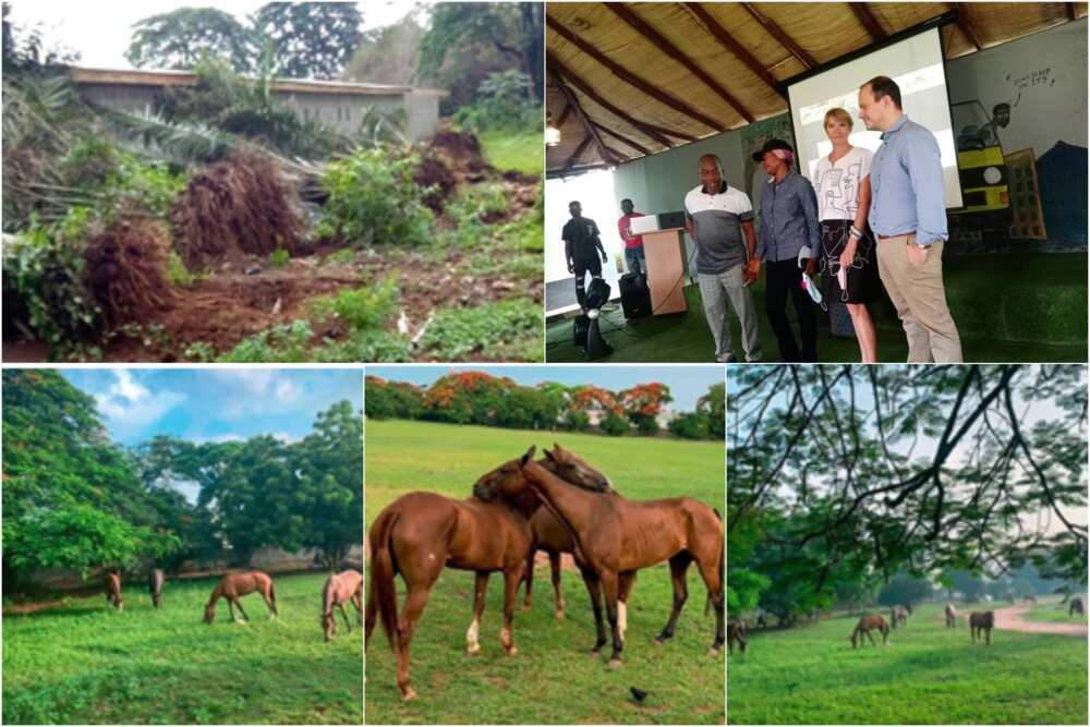 Ikeja Saddle Club writes IGP Usman Baba over the invasion of its property.