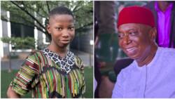 Child comedian Emanuella reacts to claims of getting marriage proposal from Ned Nwoko, shuts them down