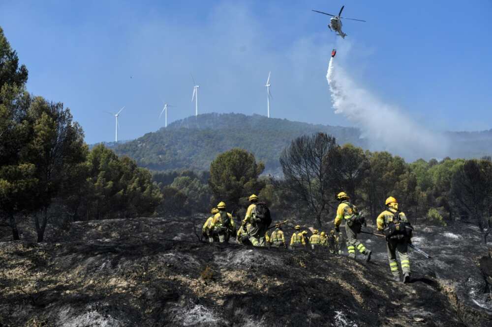 This year's fires in Spain have already destroyed more than three times the area consumed by wildfires in 2021