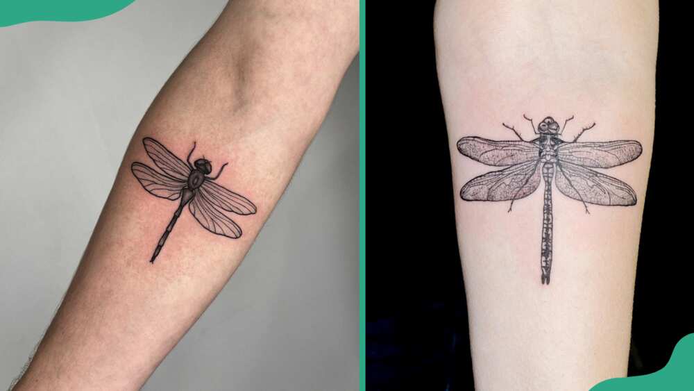 Forearm dragonfly tattoos