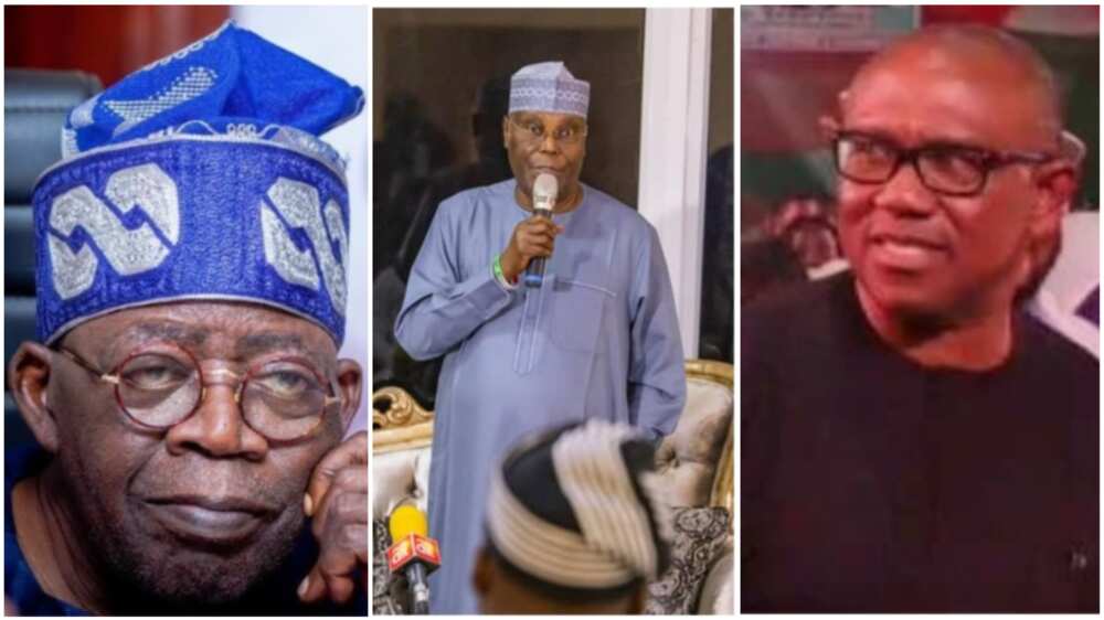 Bola Tinubu/Atiku Abubakar/Peter Obi/APC/PDP/Labour Party/2023 Election/Ayodele Fayose