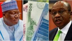 Naira swap: After meeting with Buhari, Lawan speaks on CBN's deadline, reveals strong position