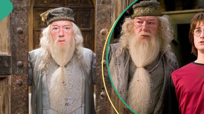 Popular Harry Potter actor Michael Gambon known for playing Professor Dumbledore dies at 82