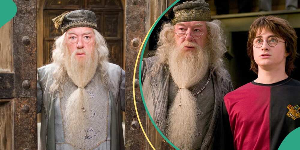 Albus Dumbledore, Albus Dumbledore and Harry Potter