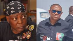 "I go naked waka from Bodillon to Falomo", says Charly Boy if Obi wins presidential tribunal