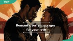 Apology messages: 150 romantic sorry messages for your love