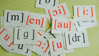 Notre top des charades difficiles : trouverez-vous la solution ?