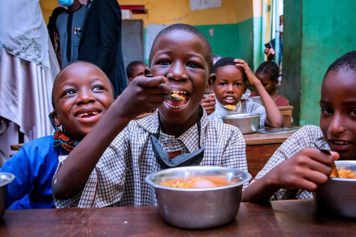 Buhari's minister reveals how much FG spent on feeding school children for free