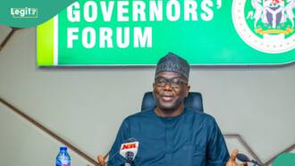 Just in: Details of governors' emergency meeting on minimum wage, other issue emerge