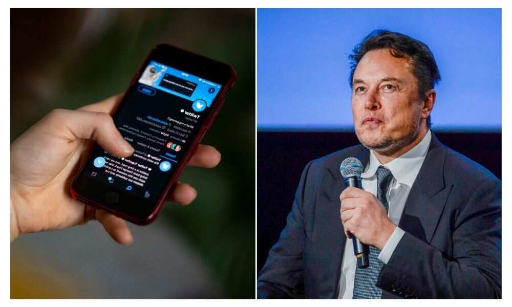 Elon Musk, Twitter verification, badge