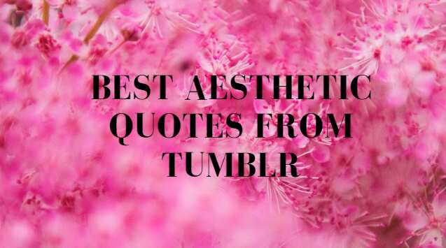 Best Aesthetic Quotes From Tumblr Legit Ng