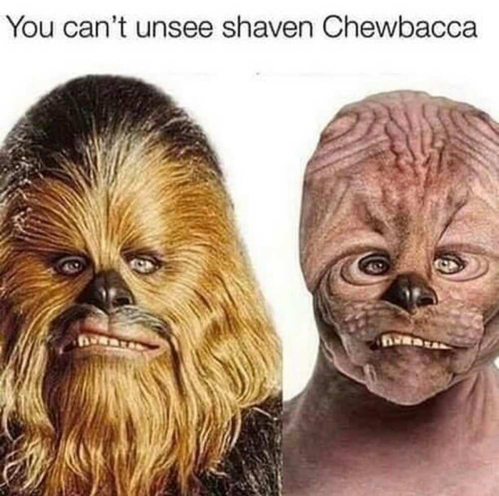 Top 50 Funny Star Wars Memes For The True Fans Of The Epic Saga Top 50 Funny Star Wars Memes For The True Fans Of The Epic Saga