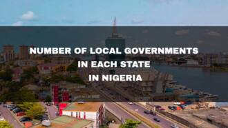 Number of local governments in each state in Nigeria 2022