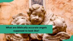 What are Biblically accurate angels supposed to look like?