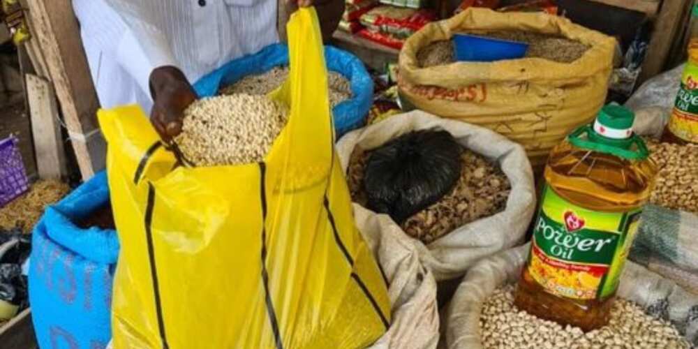 Yushau Shuaib lamented the hike in price of poultry feed