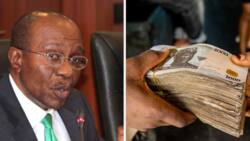 CBN rules out extension of the deadline for phase-out of old N200, N500, and N1,000 notes