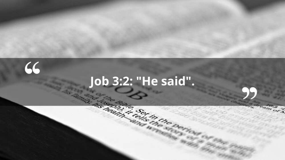 longest chapter in the bible longest chapter in the bible