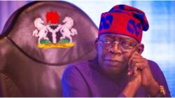 Fuel subsidy removal, price hike: Tinubu gets urgent message from Catholic bishops