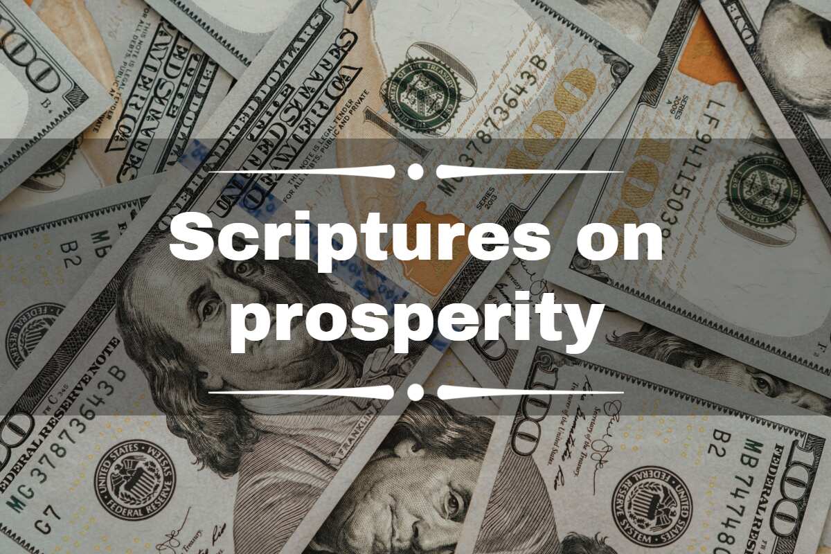 Top 50 Scriptures On Prosperity And Wealth: Motivational Bible Verses ...