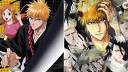 Bleach filler list: episodes you can skip without losing the plot