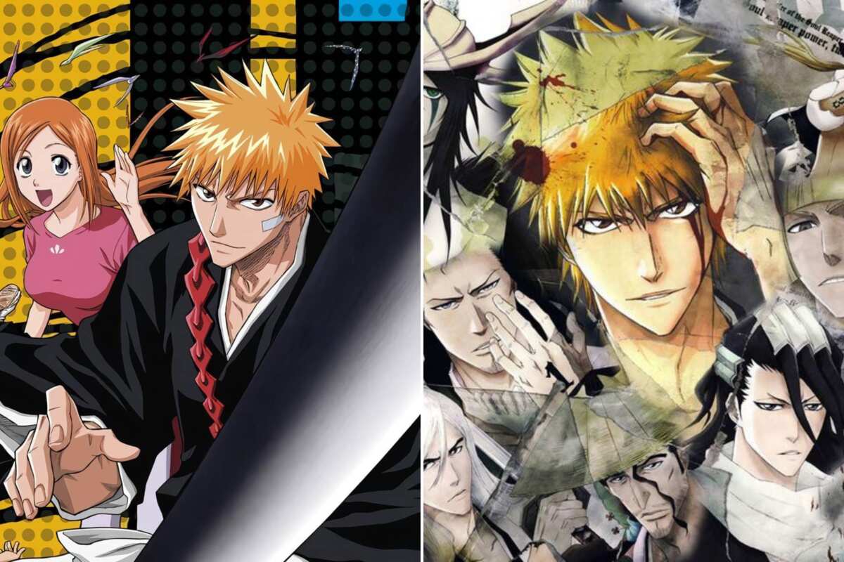 AnimeAdmirers Bleach - Episode 19 Images and summary