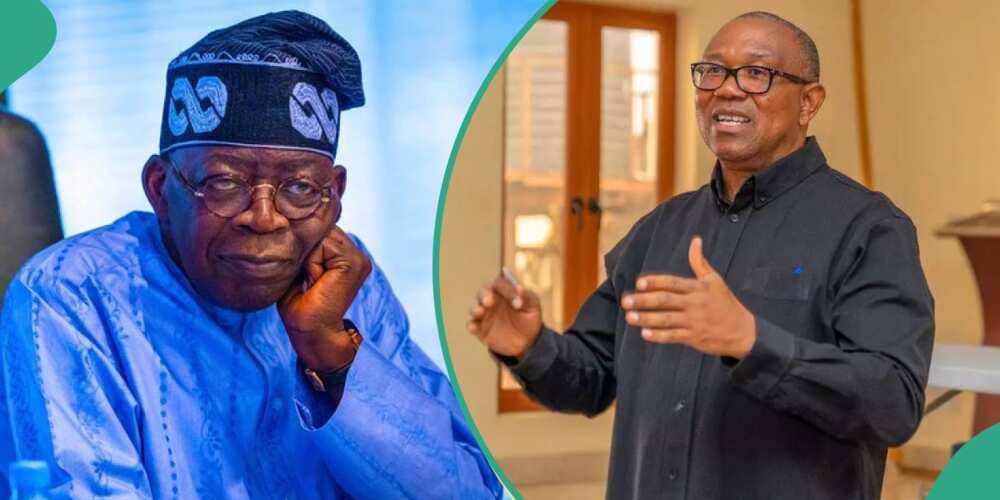 Bola Tinubu, Peter Obi, APC, PDP, LP, Fuel subsidy removal Bola Tinubu, Peter Obi, APC, PDP, LP, Fuel subsidy removal