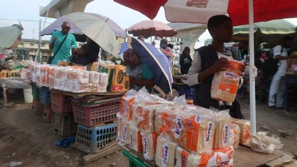 Ali Dahiru: Graduate Resigns Bank Job to Become Bread Hawker in Kaduna