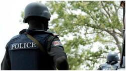 Just in: Gunmen shoot 3 policemen dead, 1 motorcyclist in Niger