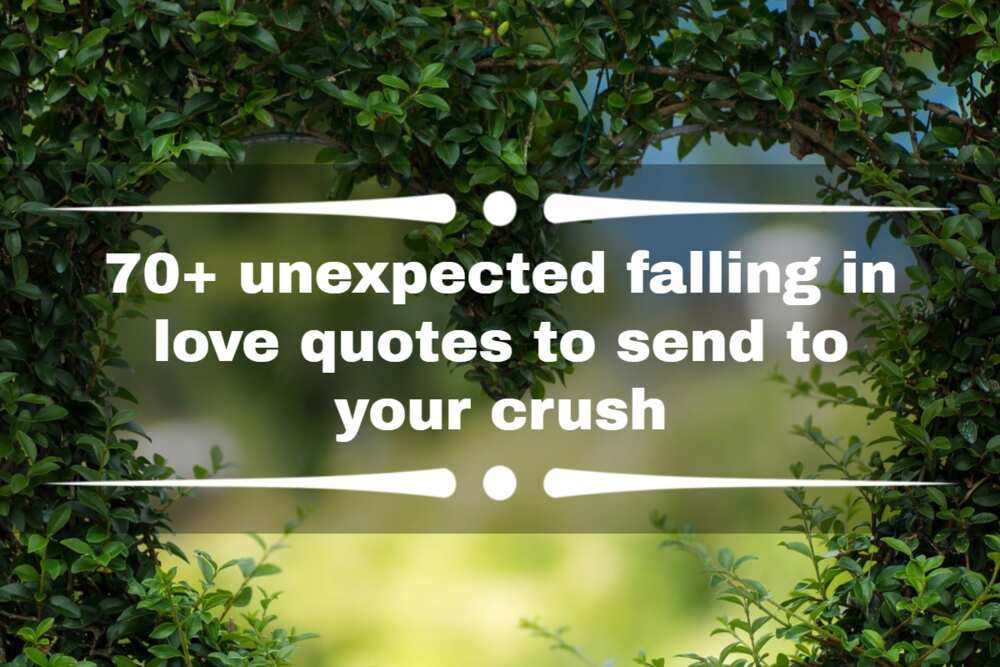 85 Unexpected Falling in Love Quotes on Life and Beautiful Surprises
