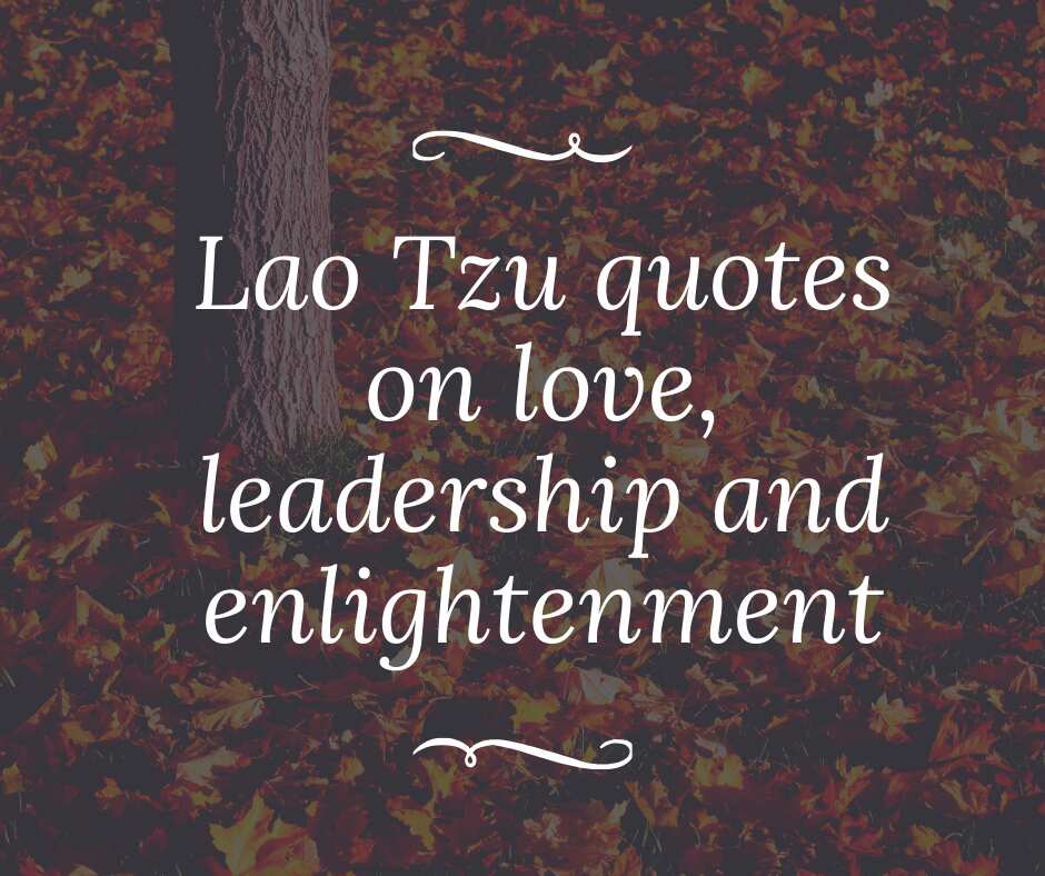 30 Insightful Lao Tzu Quotes On Love Enlightenment And Leadership
