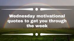 100+ Wednesday motivational quotes to get you through the week