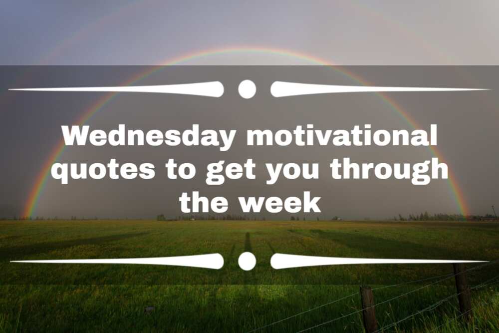 Wednesday quotes for work