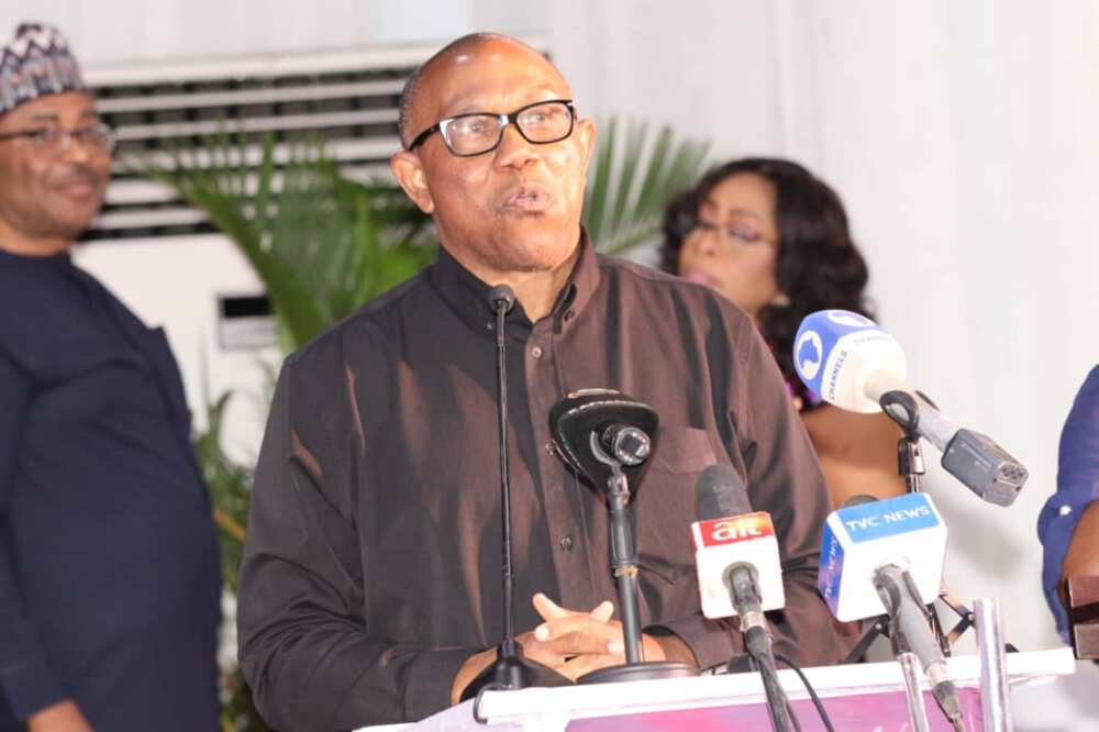 Peter Obi/2023 election/Labour Party/APC/PDP