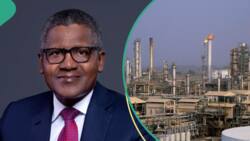 “N700 per litre”: Marketers expect new diesel price from Dangote Refinery as naira gains more