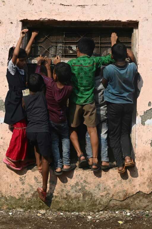 Children in Mumbai's Dharavi slums climb onto a window to catch a glimpse of a promotional event for a cartoon channel