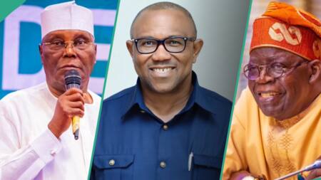 Can Atiku or Obi win in the Supreme Court? How US court will decide Tinubu's fate