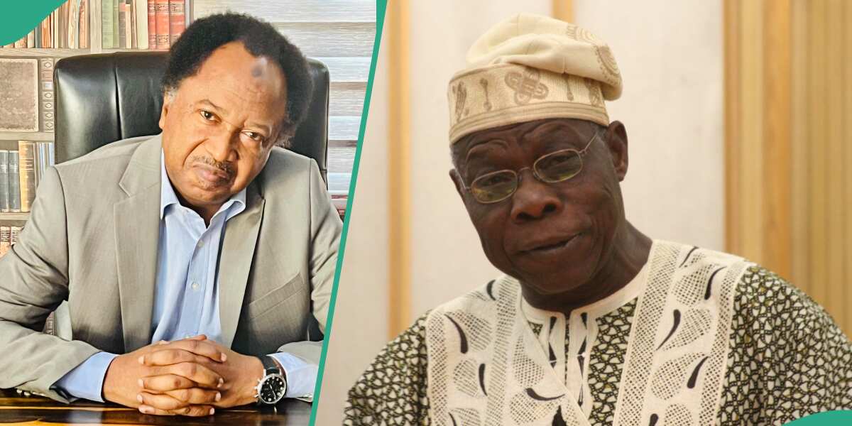 What I did to save Obasanjo from being attacked in prison, Shehu Sani makes stunning revelation