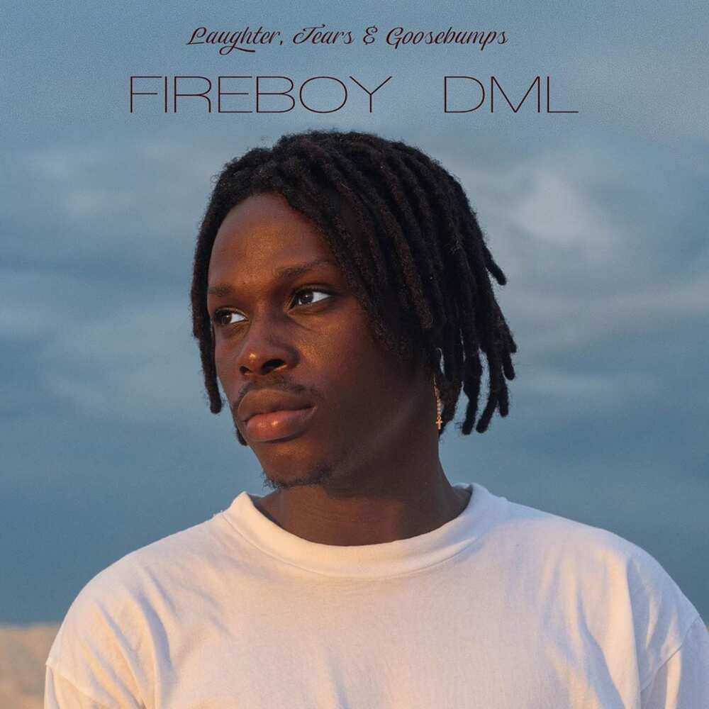 Fireboy album Fireboy album