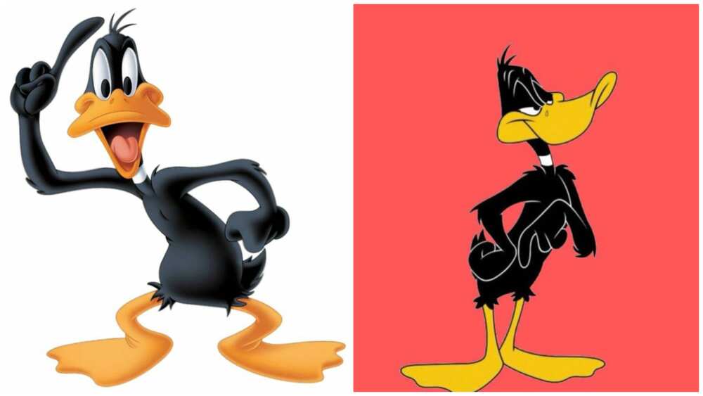 funniest cartoon characters funniest cartoon characters